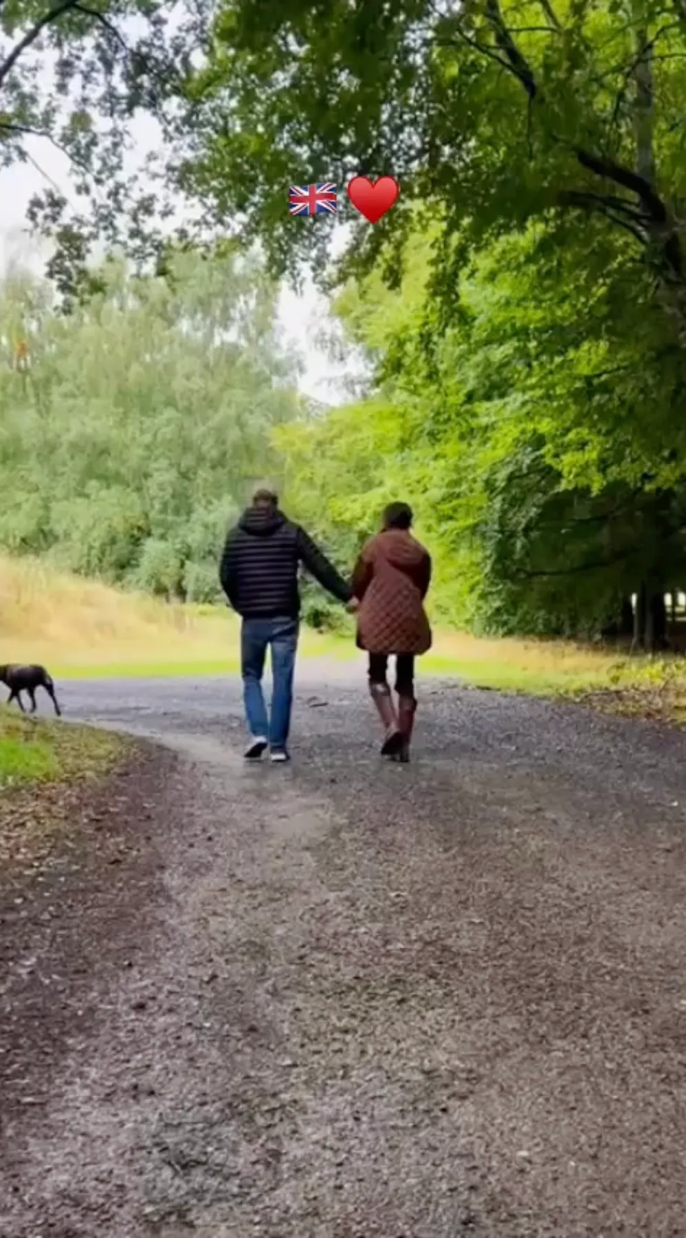 Meghan Markle and Prince Harry holding hands while walking with their dog on a gravel path.