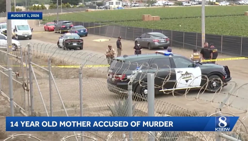 Police cars and personnel investigating a crime scene next to a field.