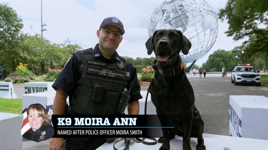 A NYPD K-9 officer poses with a black Labrador named K9 Moira Ann, who is named after Police Officer Moira Smith.