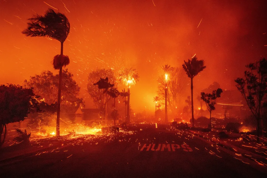 The Palisades Fire ravages a Los Angeles neighborhood, with palm trees ablaze and embers flying through the air.