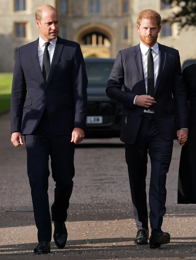 Prince William and Prince Harry walking together, both wearing dark suits and ties, outdoors at Windsor Castle.