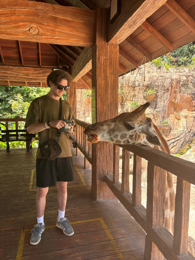 Harry Ware feeding a giraffe on a wooden viewing platform.