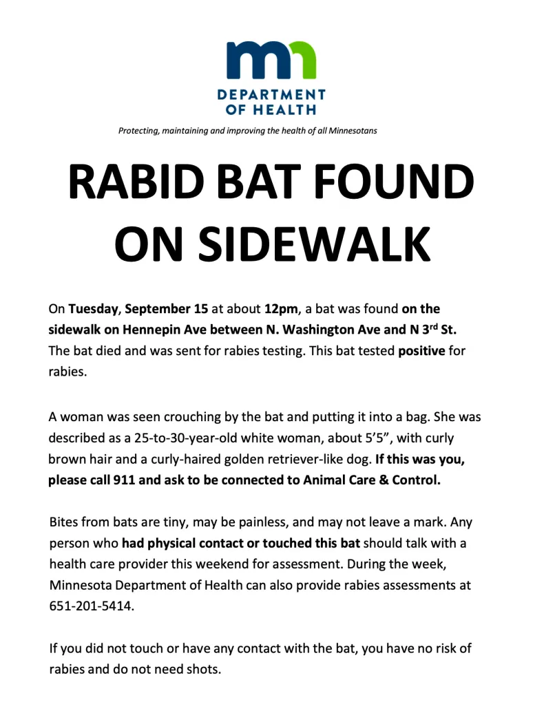 Minnesota Department of Health notice about a rabid bat found on a sidewalk.