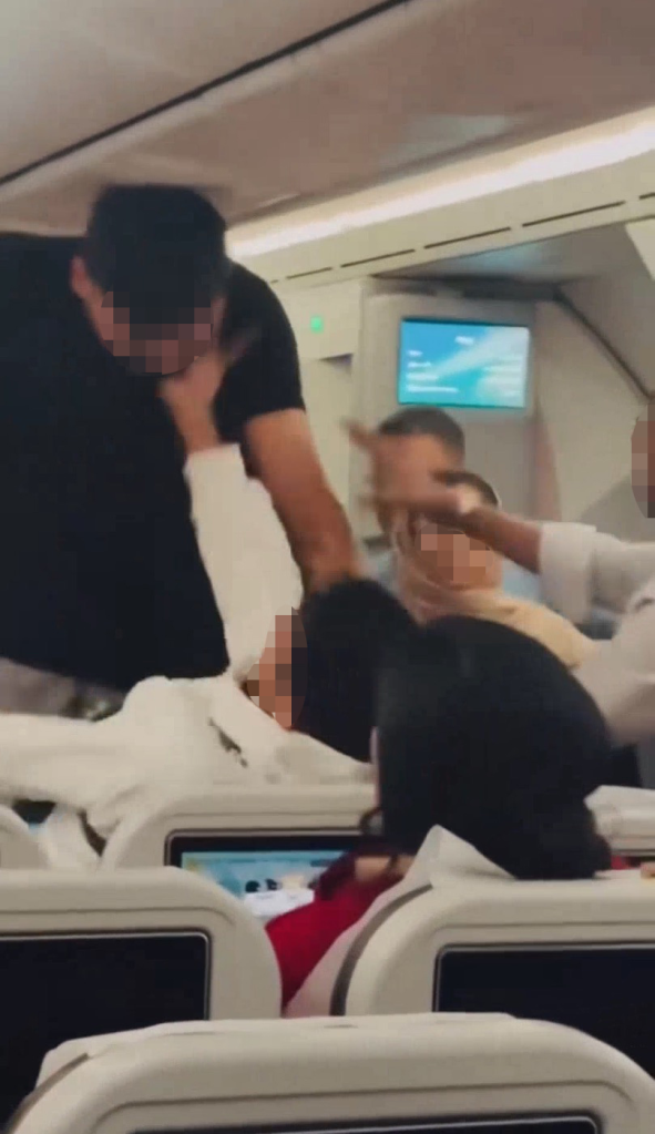 Two passengers fighting on a Biman Bangladesh Airlines flight.