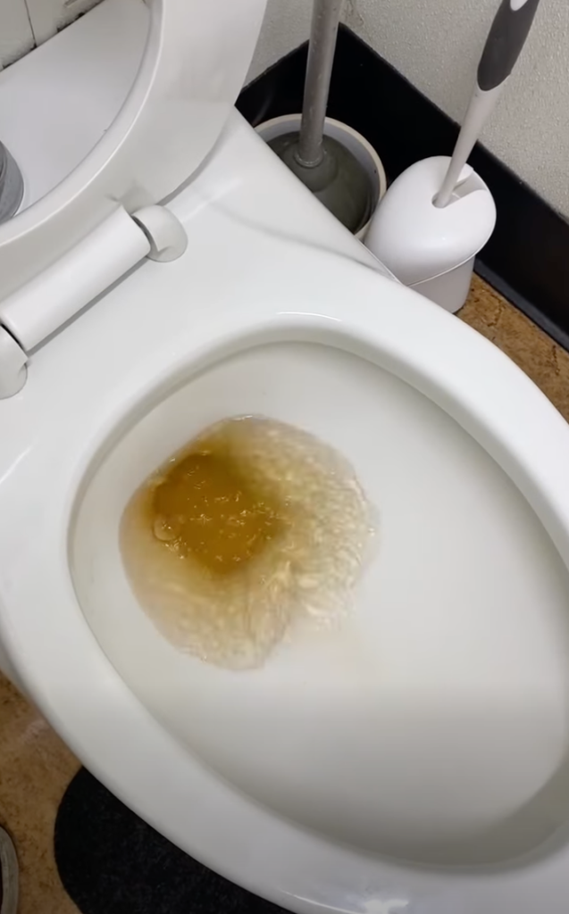 Brown tap water in a toilet bowl, caused by water infrastructure issues.