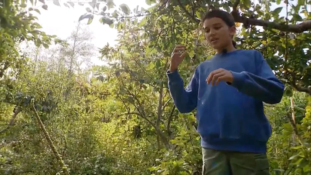 Robin Westgate, 12, standing in his backyard after surviving a bear attack.