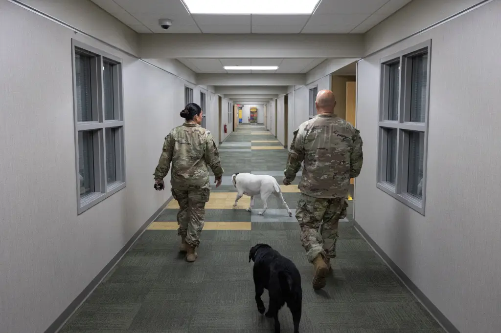 Sgt. Mollie M. Karazim and Maj. Adam LaVigne walk Axel and Penny through Joint Force Headquarters.
