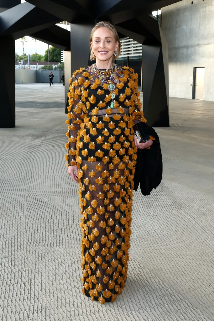 Sharon Stone attends LACMA's Opening Gala.