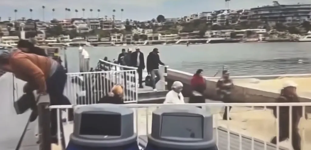 A large group of migrants being dropped off by a ship in a California harbor with houses in the background.