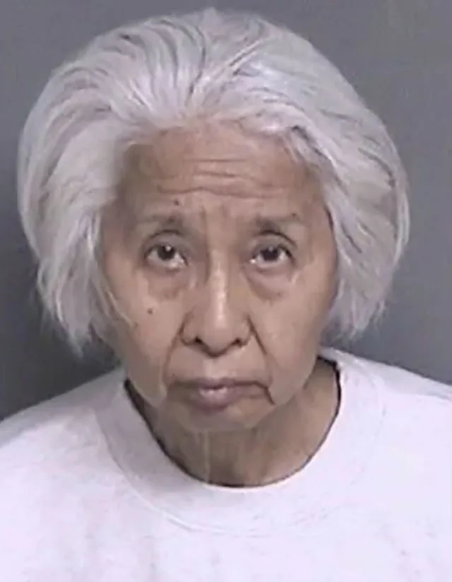 Mugshot of Shili Chen.