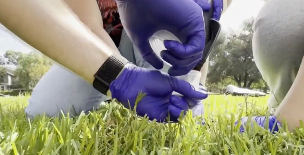 A person wearing blue gloves collects a sample of soil in a clear plastic container.