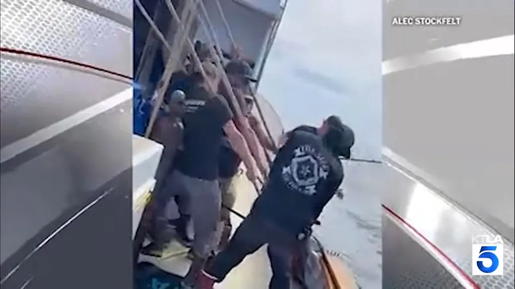 Fishermen on a boat pulling in a record-setting blue marlin.