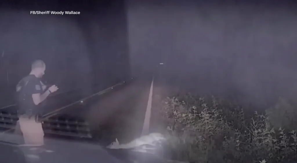 A Texas deputy reacts as a seemingly dead deer springs back to life.