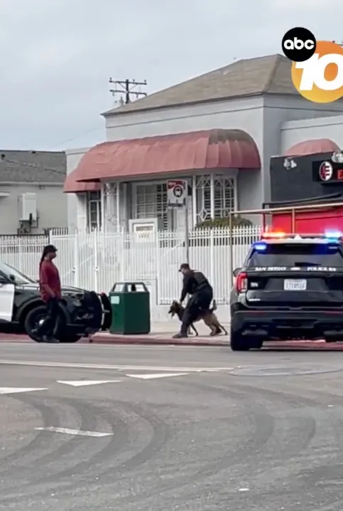 A police K-9 unit and officers responding to a shooting.