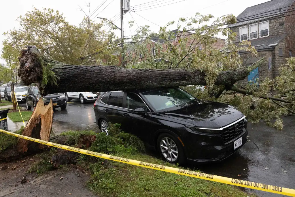 A large tree trunk crushing a black car, with yellow caution tape on the ground.