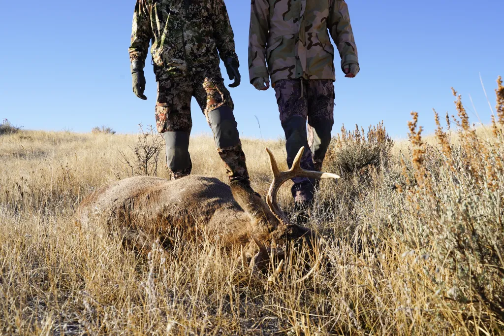 Two hunters in camouflage stand over a deceased deer in a field of tall grass.