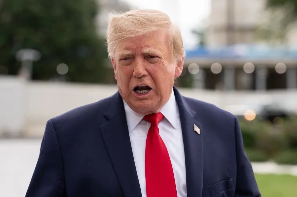 Donald Trump speaking to the media on the South Lawn of the White House.