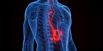 Scientists Say This Nerve Could Help Strengthen New Memories. Here’s How It Works.