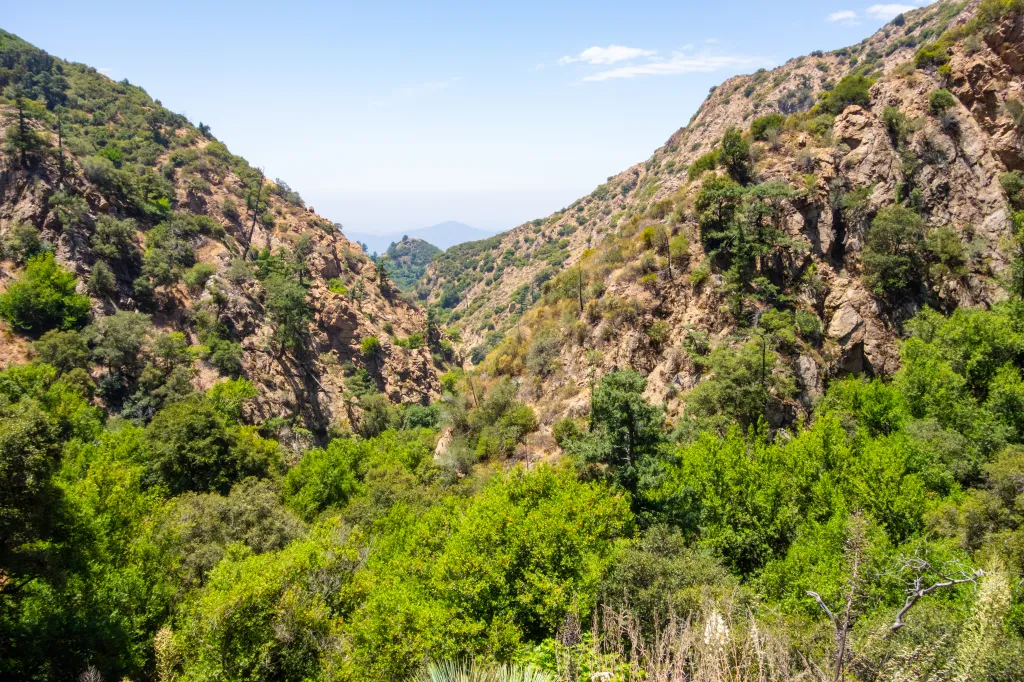 View of a rugged landscape in Angeles National Forest with trees and rocky mountains under a blue sky.