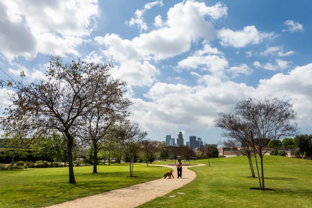 A woman walking a golden-brown dog on a winding path through a grassy park with city skyline in the background under a partly cloudy sky.