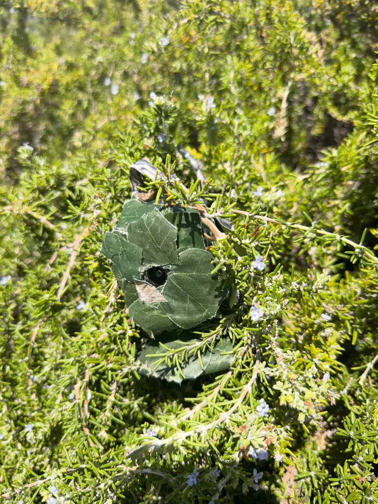Camera hidden inside a bush.