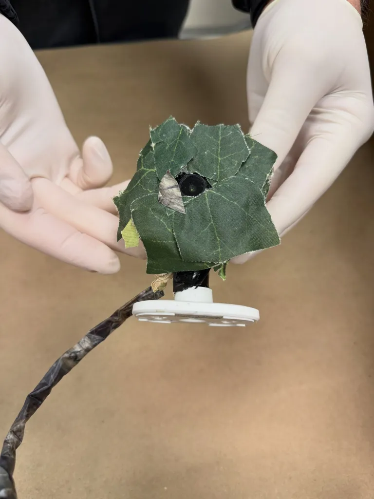 A camera camouflaged with fake leaves held by hands in white gloves.