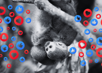People Are Selling Endangered Species on TikTok, and It’s as Bad for Conservation as You Think
