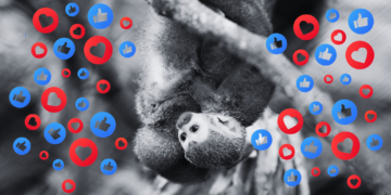 People Are Selling Endangered Species on TikTok, and It’s as Bad for Conservation as You Think