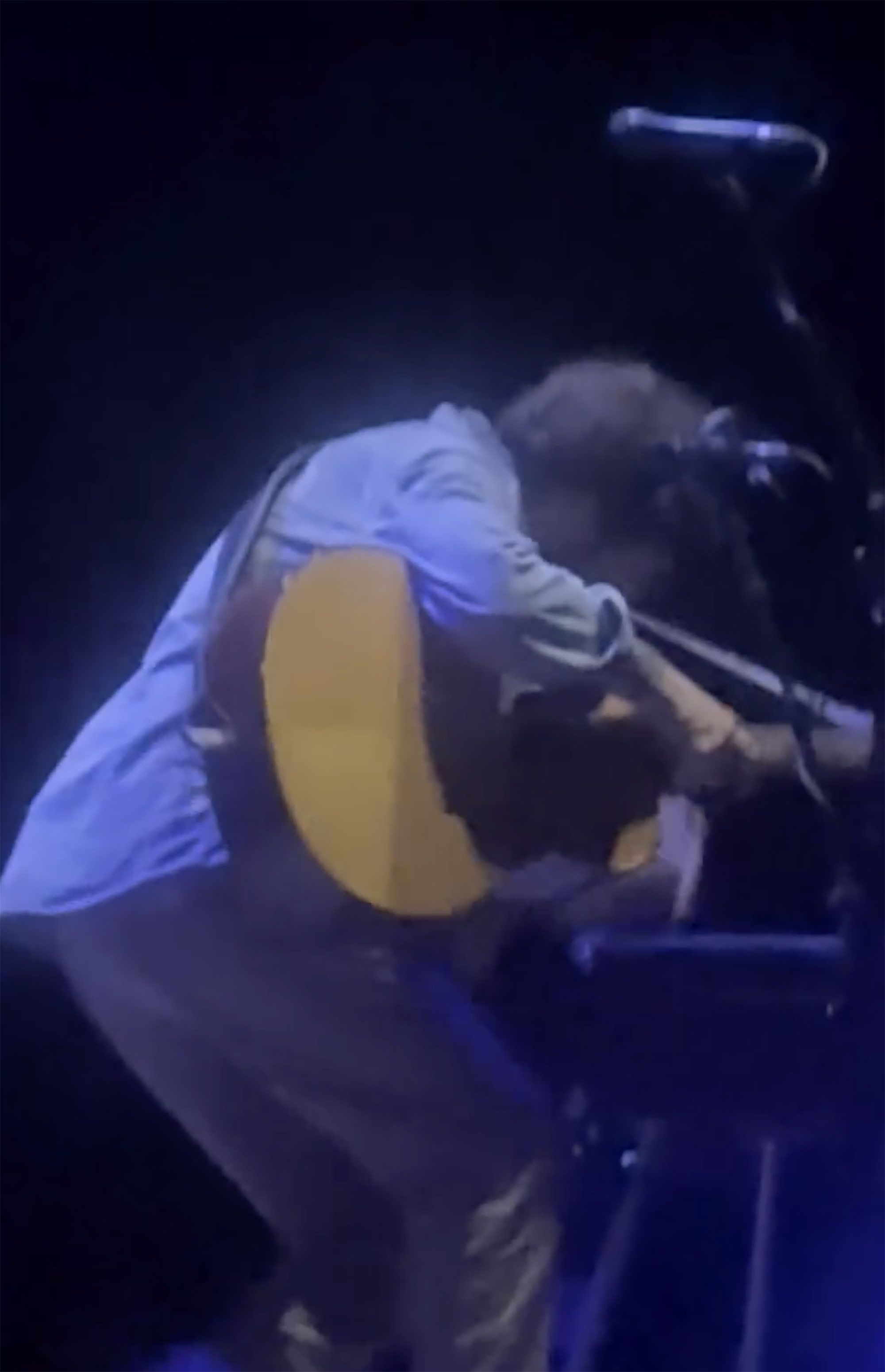 Ray Lamontagne collapses