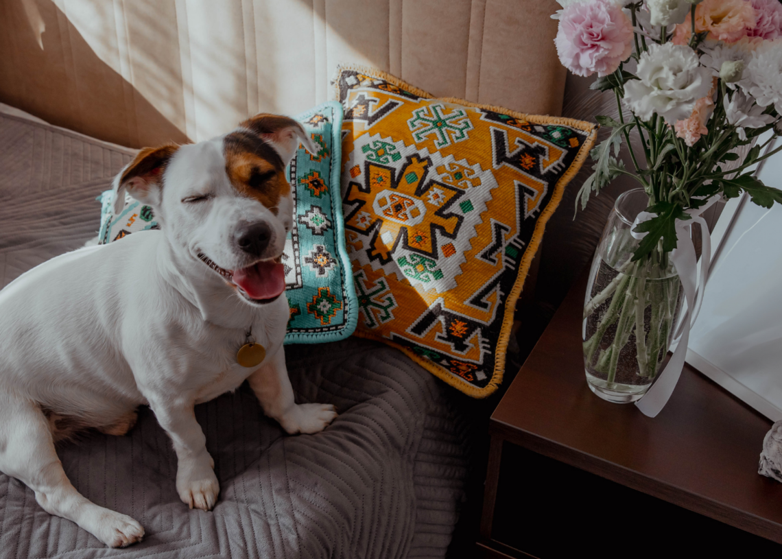 Your Dog Might Be Copying This Tiny Behavior Without You Realizing It
