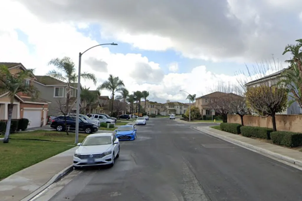 Street view of a suburban neighborhood with parked cars along the road, houses, and palm trees under a cloudy sky.