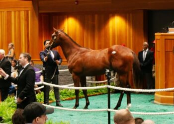 The U.S. Becomes a Global Hub for Horse Racing