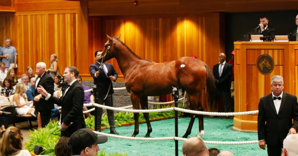 The U.S. Becomes a Global Hub for Horse Racing