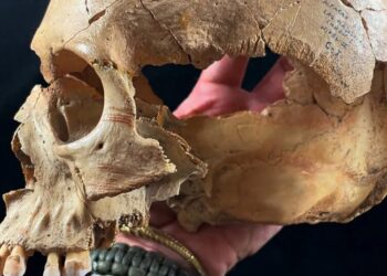 Three Stone Age Caves Reveal Continual Cannibalism