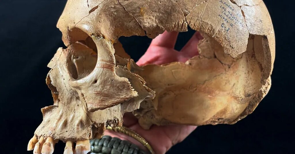 Three Stone Age Caves Reveal Continual Cannibalism