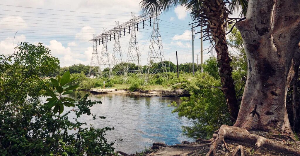 They Were Accused of Illegal Fishing. They Ended Up in ICE Detention.