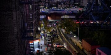 How a Dominican Migrant in New York Became an ICE Target