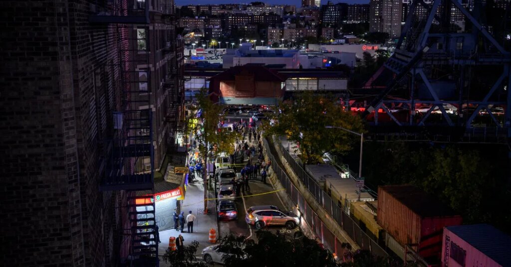 How a Dominican Migrant in New York Became an ICE Target