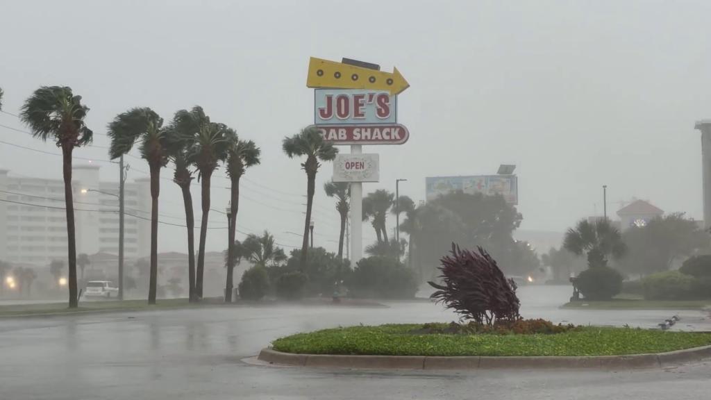 Palm trees are caught in strong gusts of wind as rain begins to flood the streets of Santa Rosa Beach on Oct. 9, 2026.