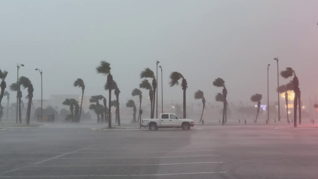 Palm trees are whipped by the wind as a truck is parked in a flooded parking lot during Hurricane Isaias.