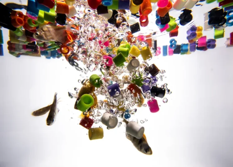 Microplastics React With Water, a New Study Says. That’s a Problem for Biology