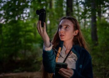 Why Has This Teenager Tracked Down 11,377 Moths Since April?