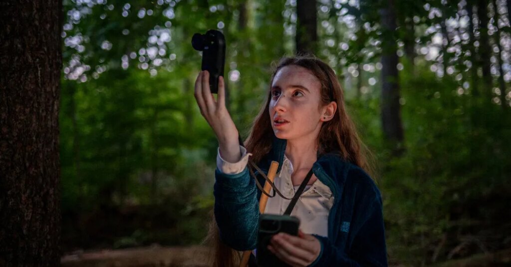 Why Has This Teenager Tracked Down 11,377 Moths Since April?