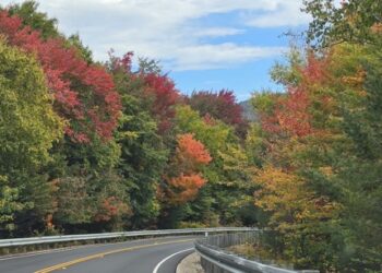 All the Comforts of Fall