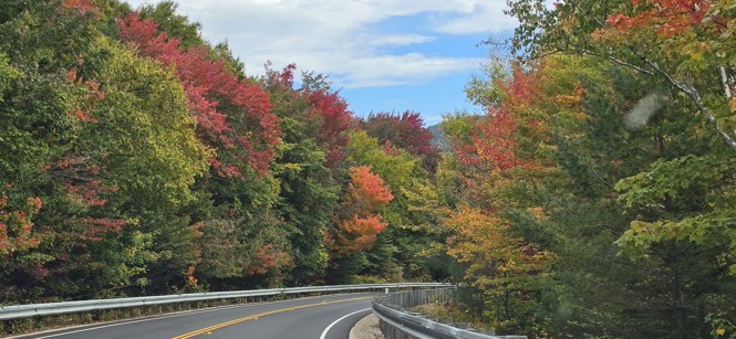 All the Comforts of Fall