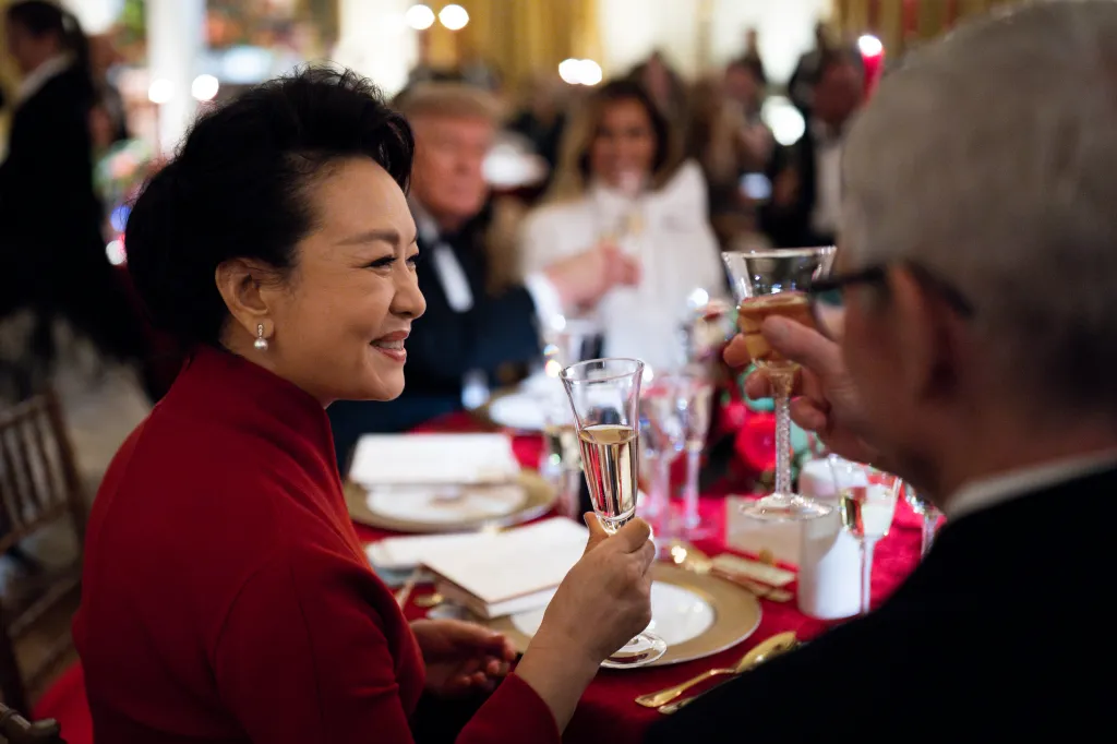 Peng Liyuan raises a glass in a toast during a formal dinner.