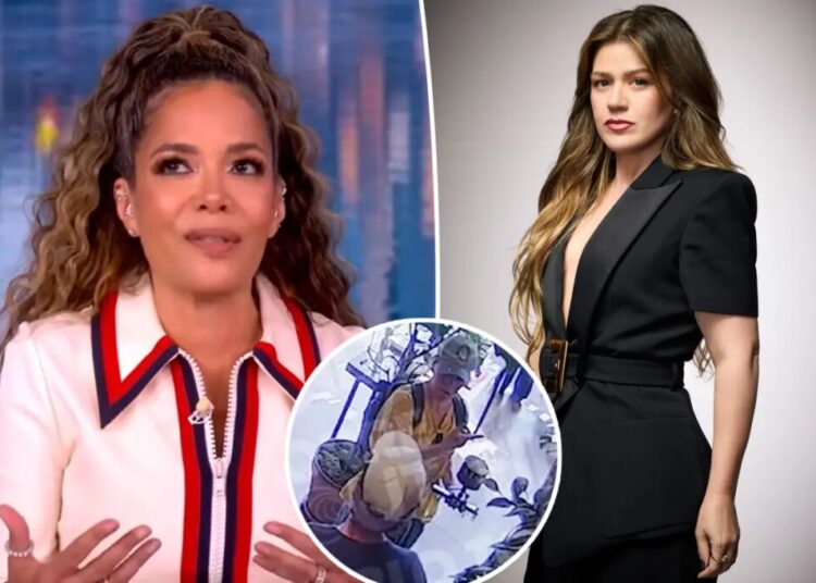 Sunny Hostin slams ‘petty’ Kelly Clarkson for throwing ‘a bit of a tantrum’ after Brooklyn store security footage leaks