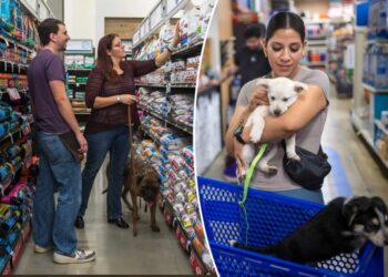 Pet store giant confirms California store closing date in downsizing trend