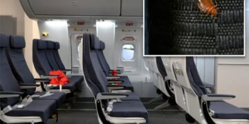 Bedbugs found in plane’s economy seats force Qantas airline to cancel flight