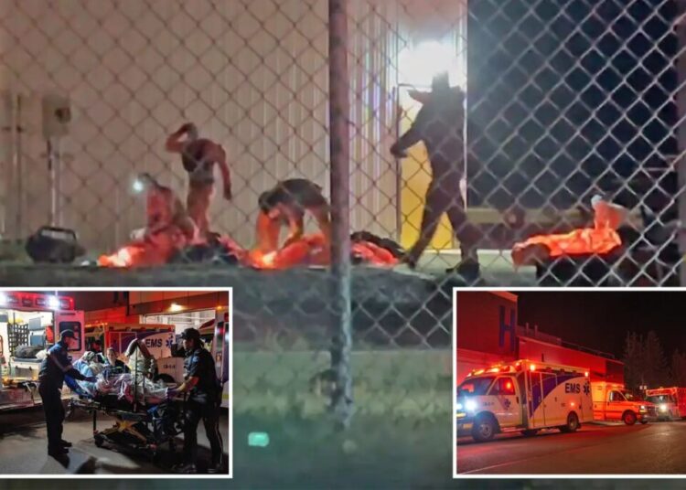 Canadian military forced to parachute troops into base after gas explosion, fire left at least 7 dead